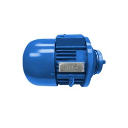 Электродвигатель подъема тали канатной GEARSEN серий CD, MD 1 т (1,5 кВт) - фото 710813