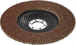 Шлифовальный круг Stayer "PROFI" лепестковый, торцевой, 115мм 40P 36581-115-040 - фото 90072