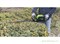 Кусторез аккумуляторный 60 V GREENWORKS GD60HT Greenworks 2201007 - фото 684521