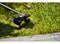 Триммер аккумуляторный G-MAX 40V GREENWORKS GD40BCBK4 с АКБ 4АЧ и ЗУ Greenworks 2105707UB - фото 687138